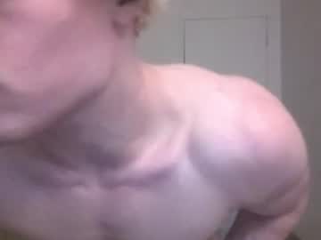 thelevimeyers
