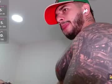 king_falconer