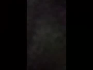 nightcapcats