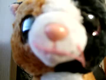slinkykat